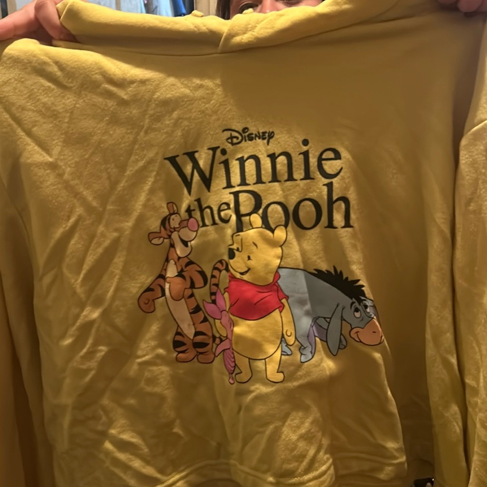 Winnie the Pooh sweater